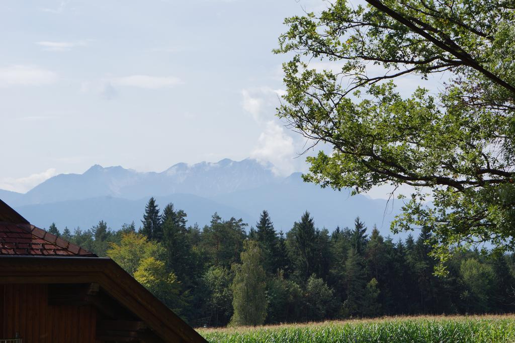 Rasinger Apartment Schiefling am See